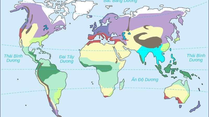 Đặc điểm các đới khí hậu trên Trái Đất (1 đới nóng, 2 đới ôn hòa, 2 đới lạnh)