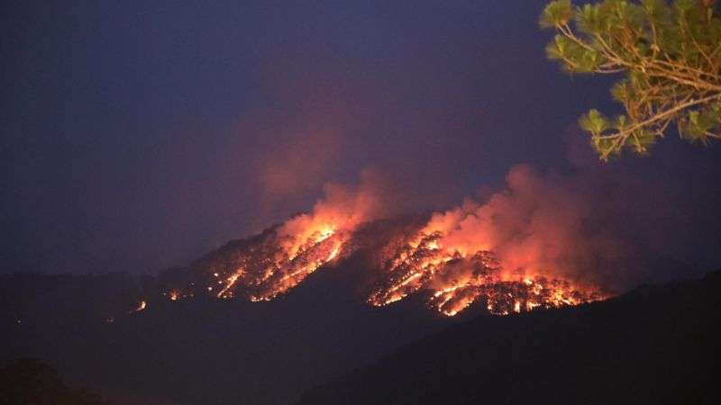 cháy rừng ở Đà Lạt
