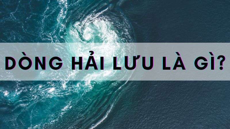 Dòng hải lưu là gì? Các dòng biển lớn tại Việt Nam – thế giới