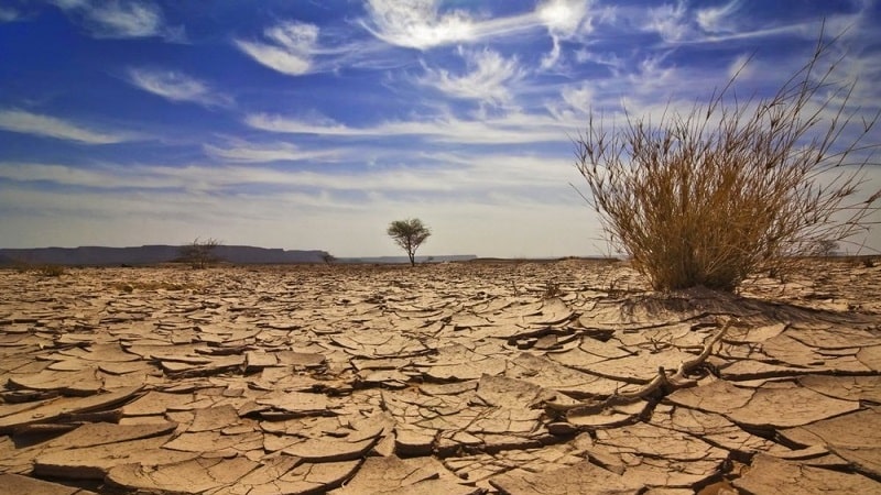 hậu quả của biến đổi khí hậu ở việt nam