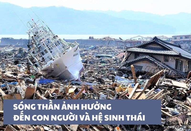 hậu quả của sóng thần