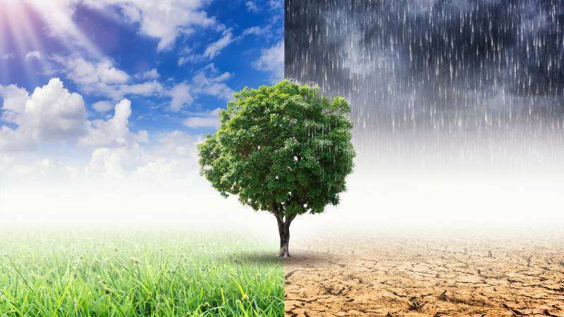 Phân biệt thời tiết và khí hậu: 2 khái niệm khác biệt hoàn toàn
