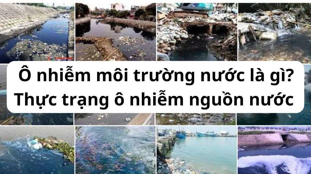 Ô nhiễm môi trường nước là gì? Báo cáo tình trạng ô nhiễm nước tại Việt Nam