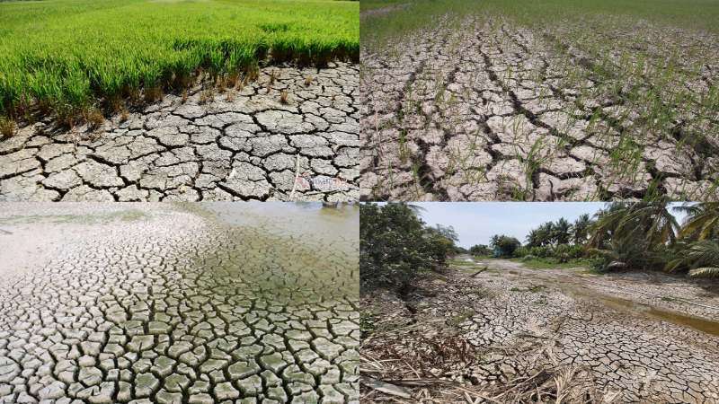 Xâm nhập mặn là gì? Tìm hiểu nguyên nhân & giải pháp khắc phục tình trạng đất bị nhiễm mặn ở ĐBSCL