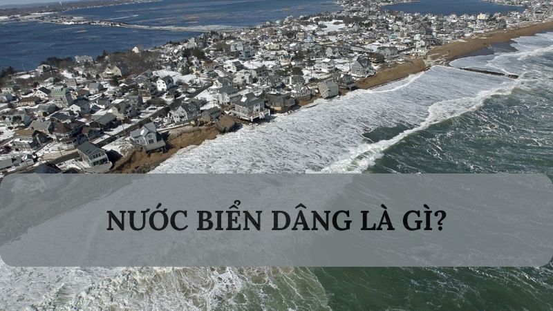 Nước biển dâng là gì? Tìm hiểu nguyên nhân & tác hại khi nước biển dâng cao tại Việt Nam