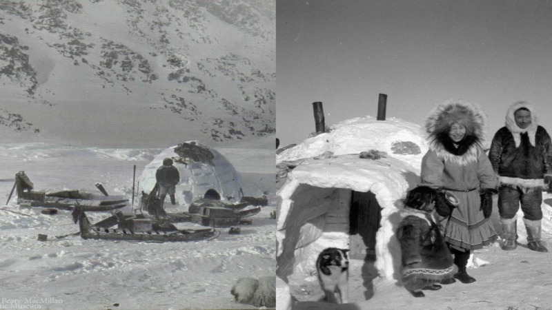 Bắc Cực có người sống không? Cách người Inuit thích nghi với băng tuyết tại Bắc cực