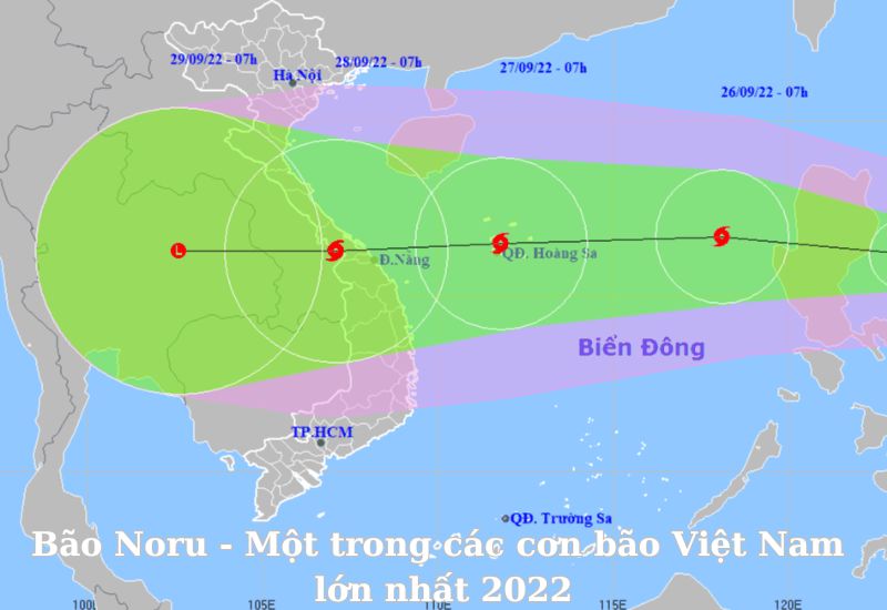 bao-lon-nhat-viet-nam