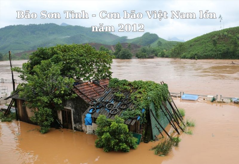 bão mạnh nhất việt nam