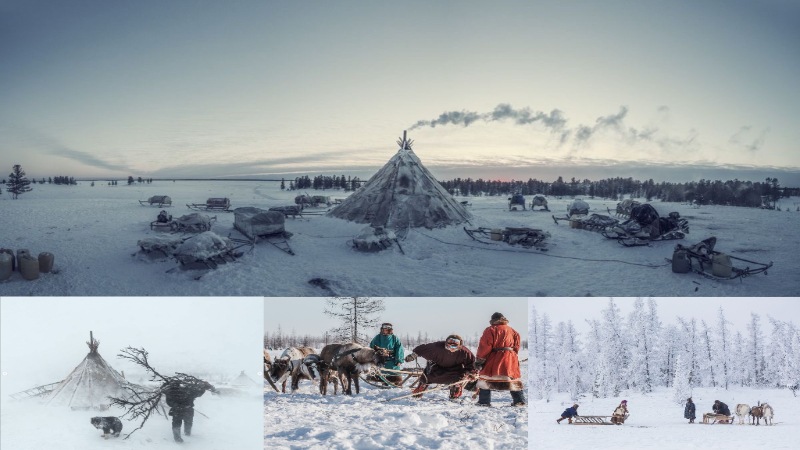 cách người inuit bắc cực thích nghi với cái lạnh nơi này