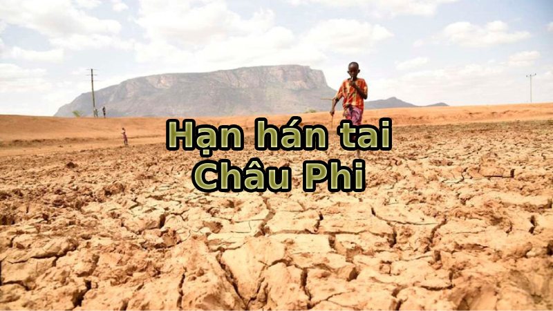 đặc điểm khí hậu châu phi