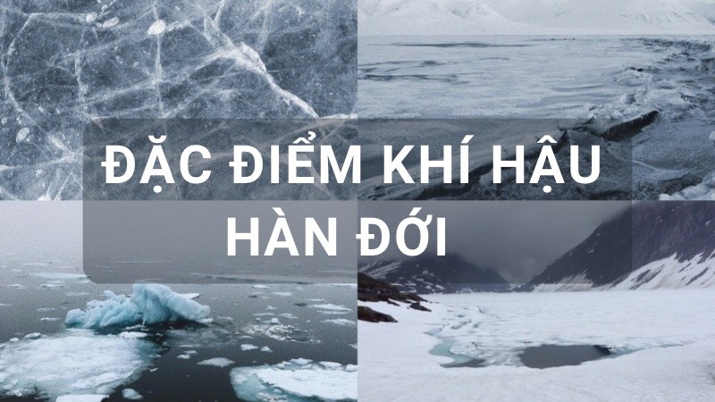 đặc điểm khí hậu hàn đới