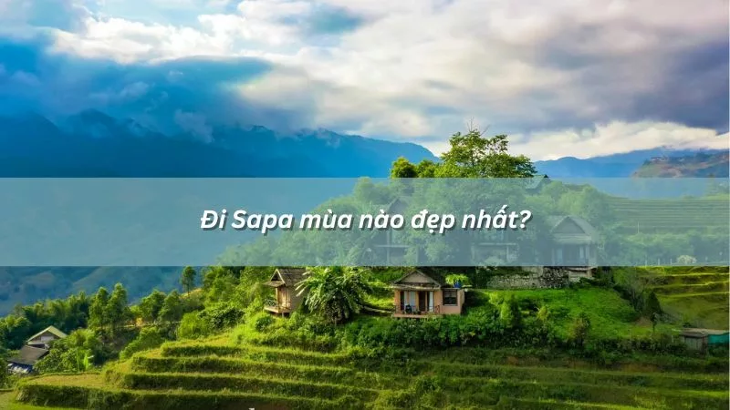 Đi Sapa mùa nào đẹp