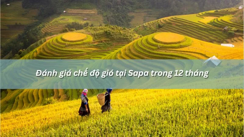 Gió ở Sapa