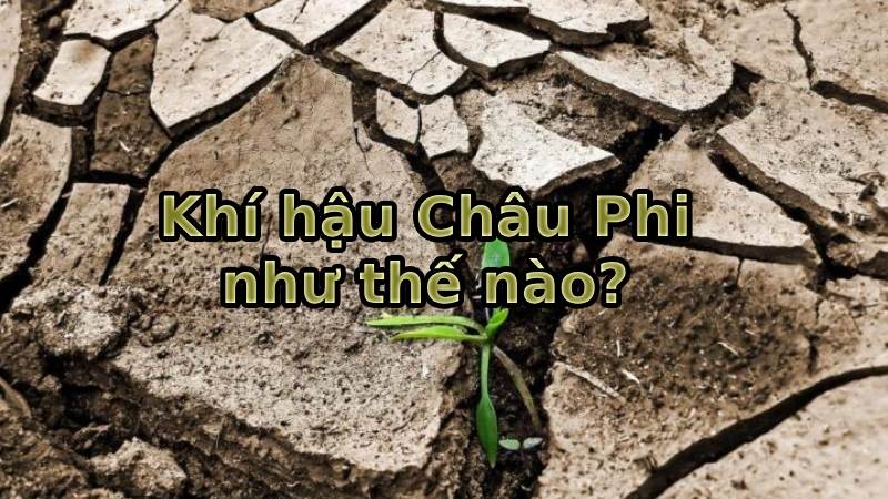 khí hậu của châu phi