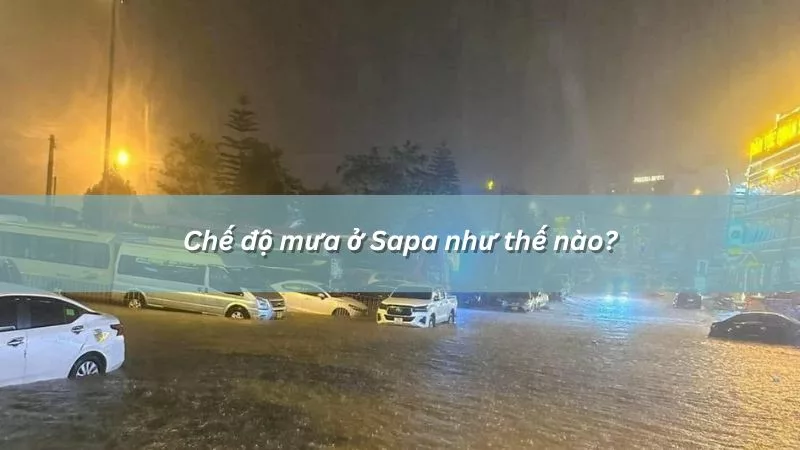 Mưa ở Sapa