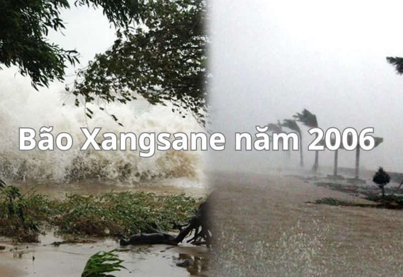 những cơn bão lớn ở việt nam