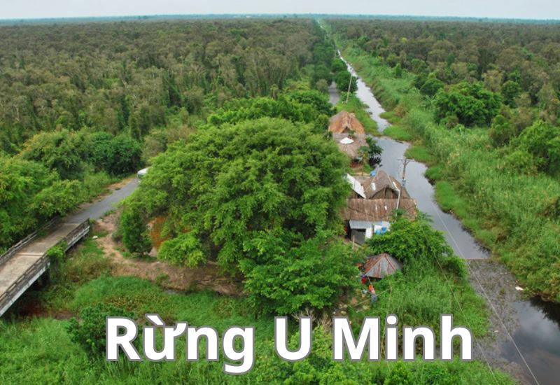 việt nam có rừng nhiệt đới không