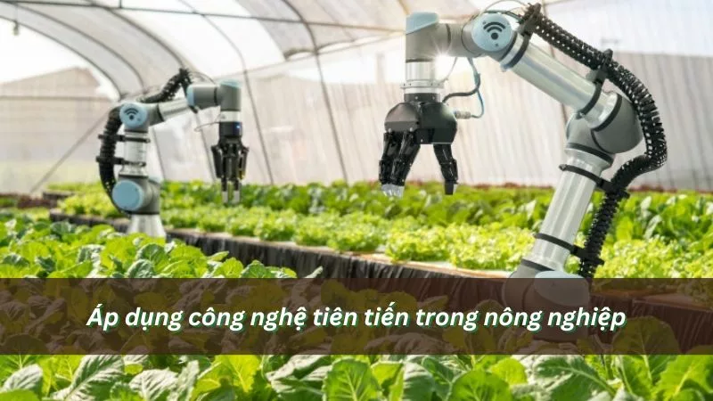 Áp dụng công nghệ tiên tiến trong nông nghiệp