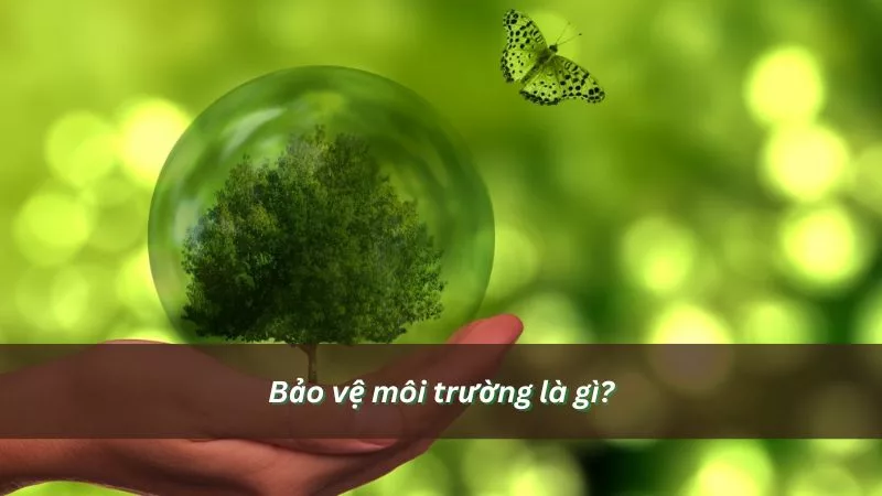 Bảo vệ môi trường là gì