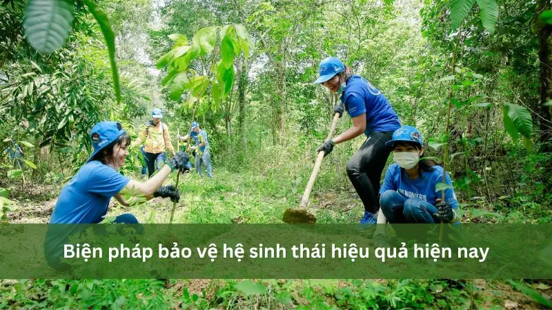 Biện pháp bảo vệ hệ sinh thái hiệu quả