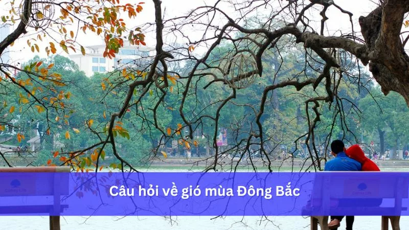 Câu hỏi về gió mùa Đông Bắc