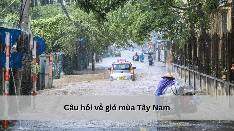 Câu hỏi về gió mùa Tây Nam