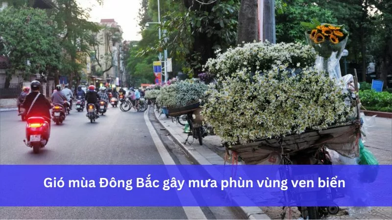 Gió mùa Đông Bắc gây mưa phùn