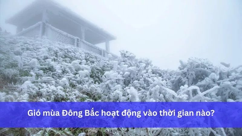 Gió mùa Đông Bắc hoạt động thời gian nào