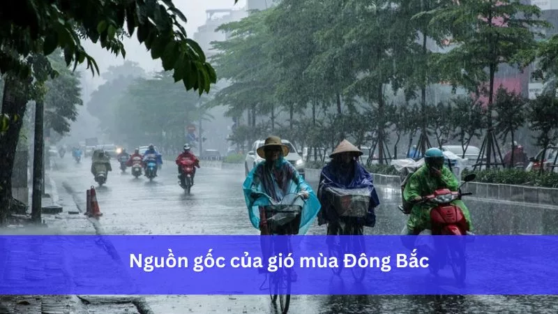 Nguồn gốc gió mùa Đông Bắc