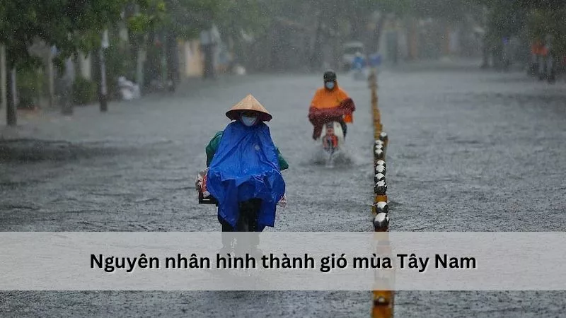 Nguyên nhân hình thành gió mùa Tây Nam