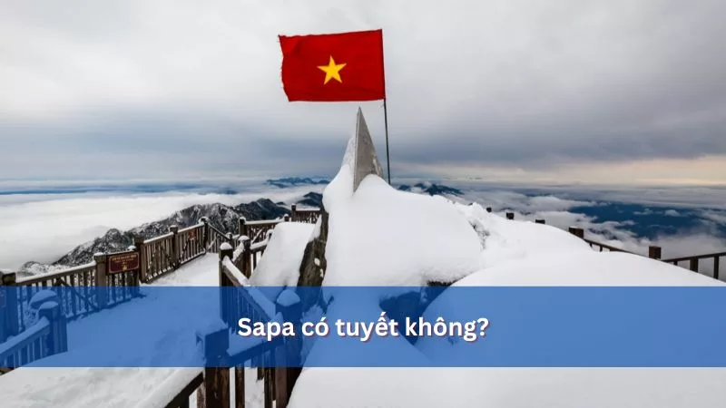 Sapa có tuyết không