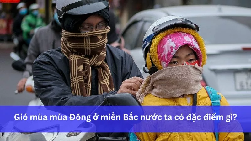 Tính chất gió mùa Đông Bắc