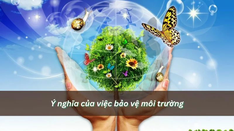 Ý nghĩa của việc bảo vệ môi trường